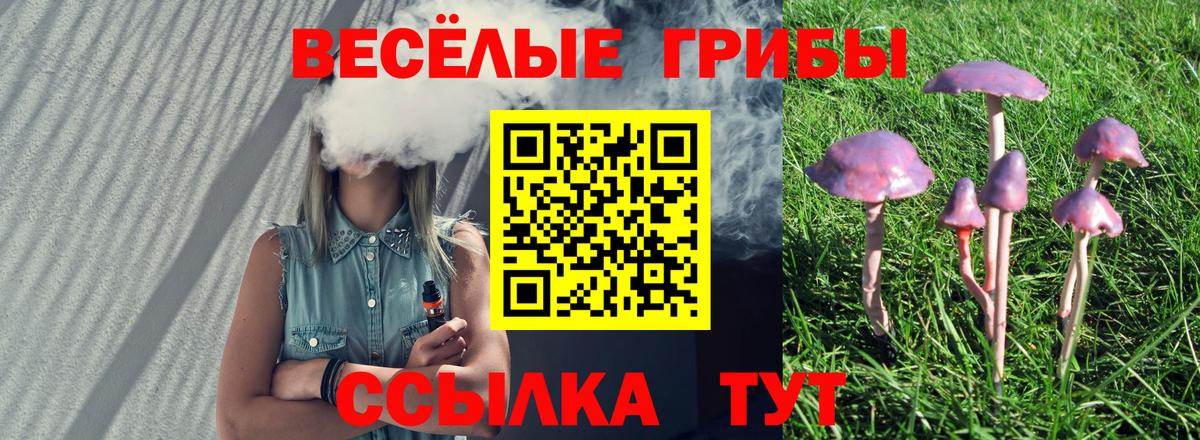 Галлюциногенные грибы прущие грибы Знаменск