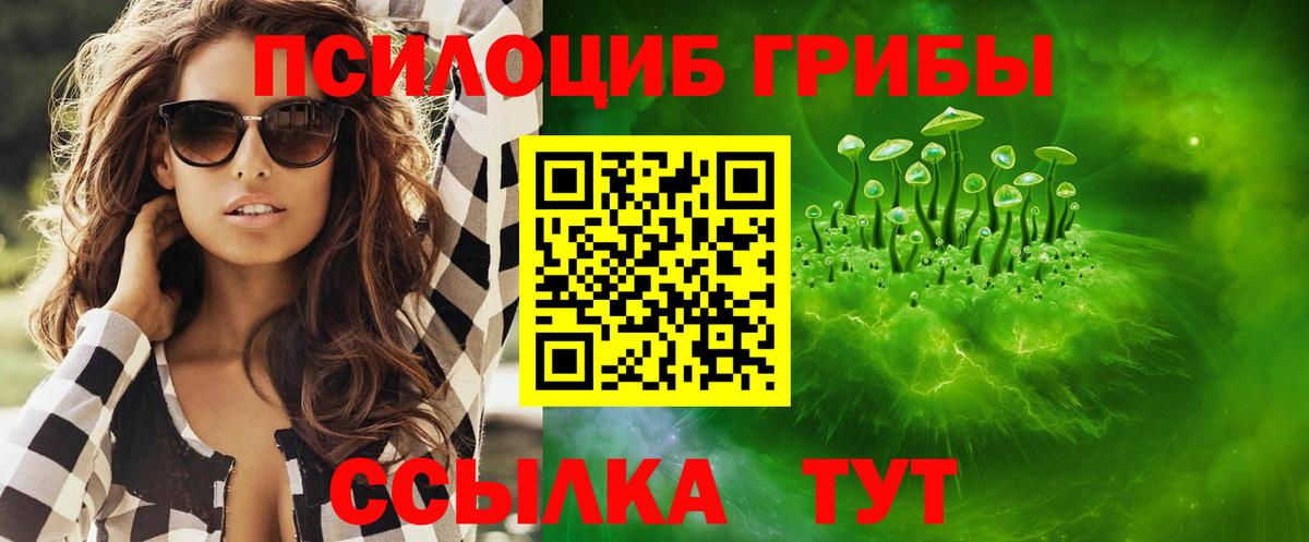 Галлюциногенные грибы мицелий  Вход с VPN  Знаменск  Галлюциногенные грибы Psilocybine cubensis 